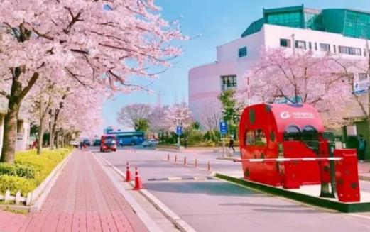 韩国留学嘉泉大学怎么样？