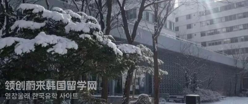 23年韩国留学弘益大学博士申请条件有哪些？