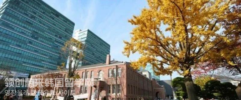 2023年韩国留学东亚大学艺术专业中文授课博士学费多少？