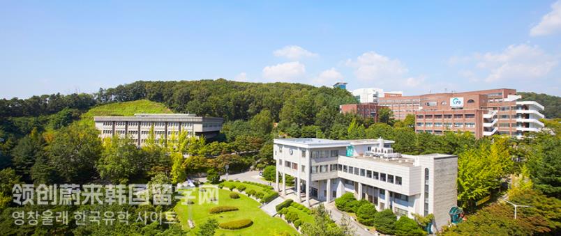 韩国留学江南大学有哪些特色专业？