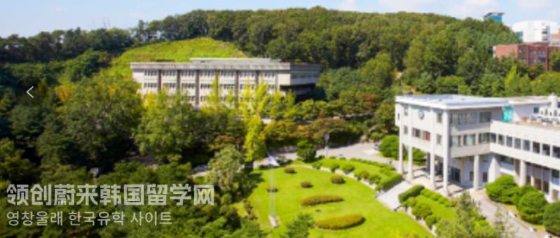 韩国留学江南大学可以插班大四吗？