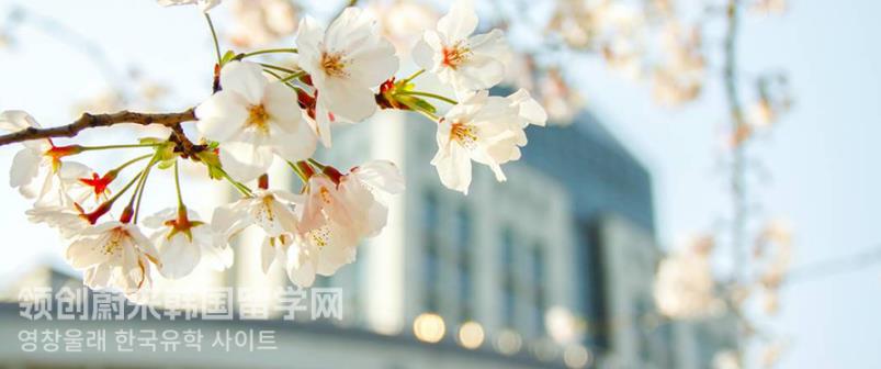 韩国留学江南大学国际经营学中文硕士学费多少？