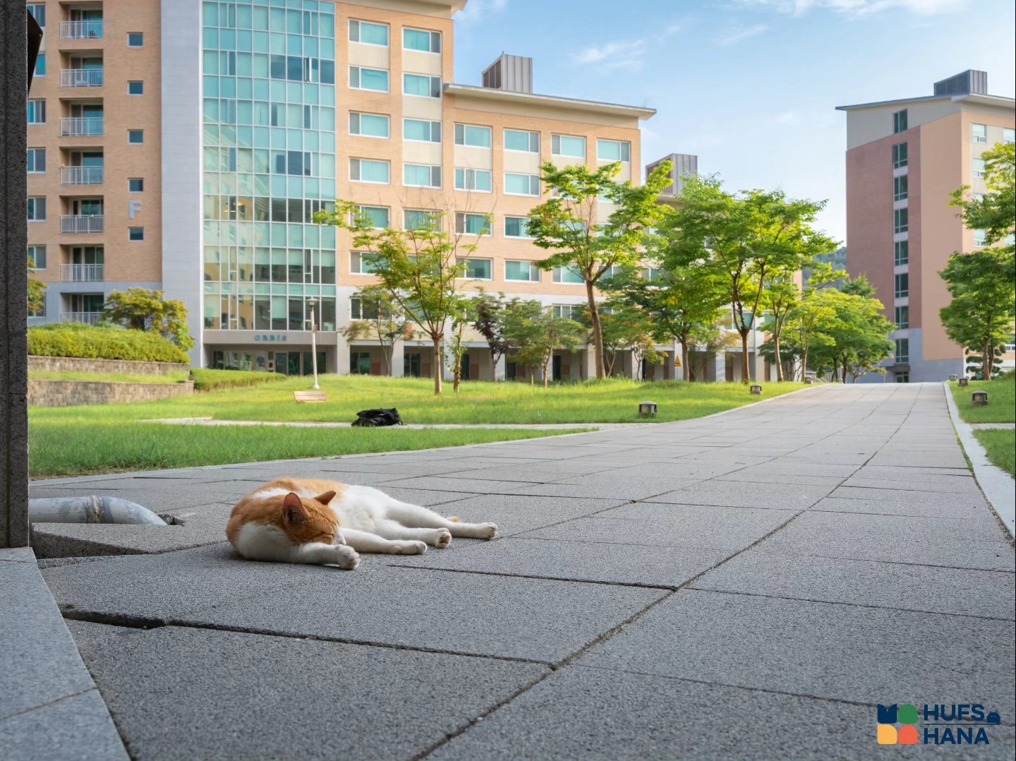 韩国留学外国语大学学校美景