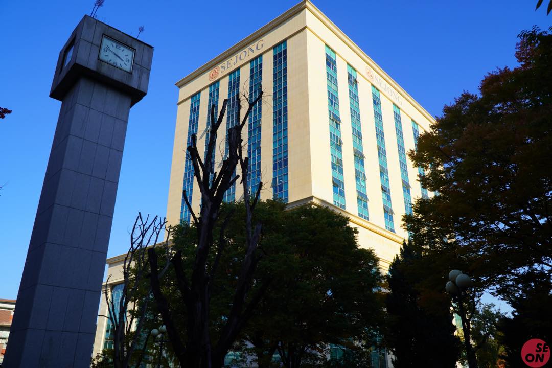 世宗大学