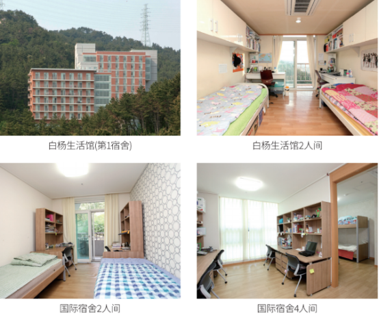 韩国留学丨新罗大学中文授课博士招生介绍(图4) image.png