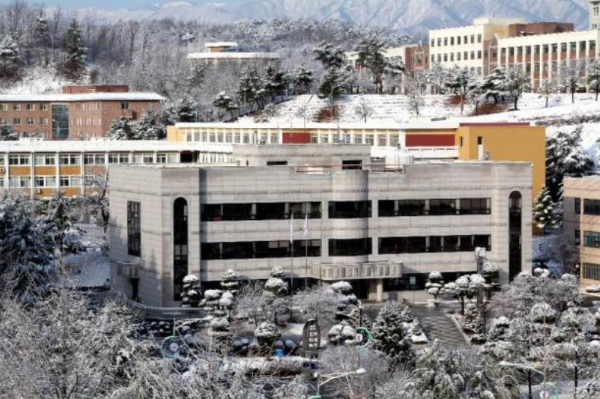 韩国留学生活深度解析｜治安与自然环境全面介绍
