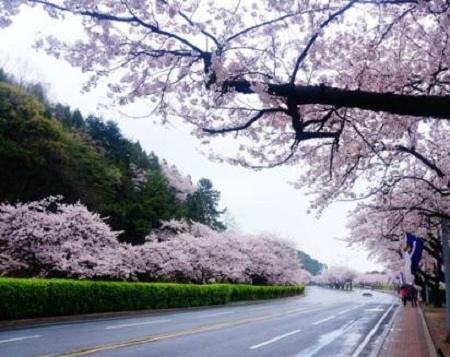 韩国外国语大学韩国语学堂宿舍介绍