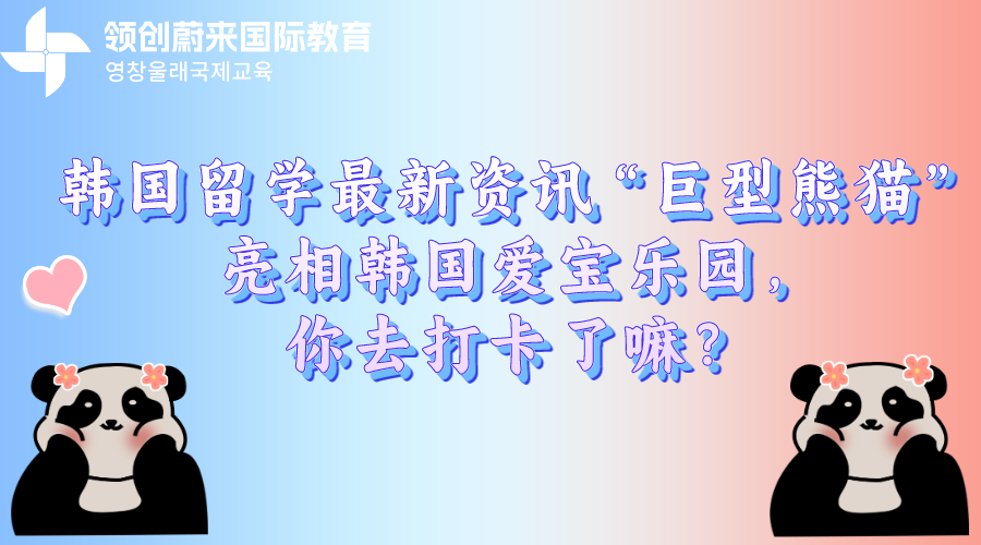 韩国留学最新资讯“巨型熊猫”亮相韩国爱宝乐园，你去打卡了嘛？.png