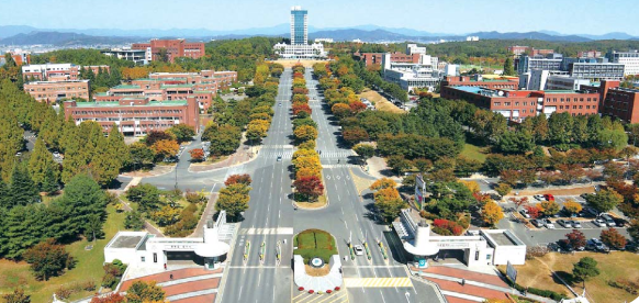 韩国大学