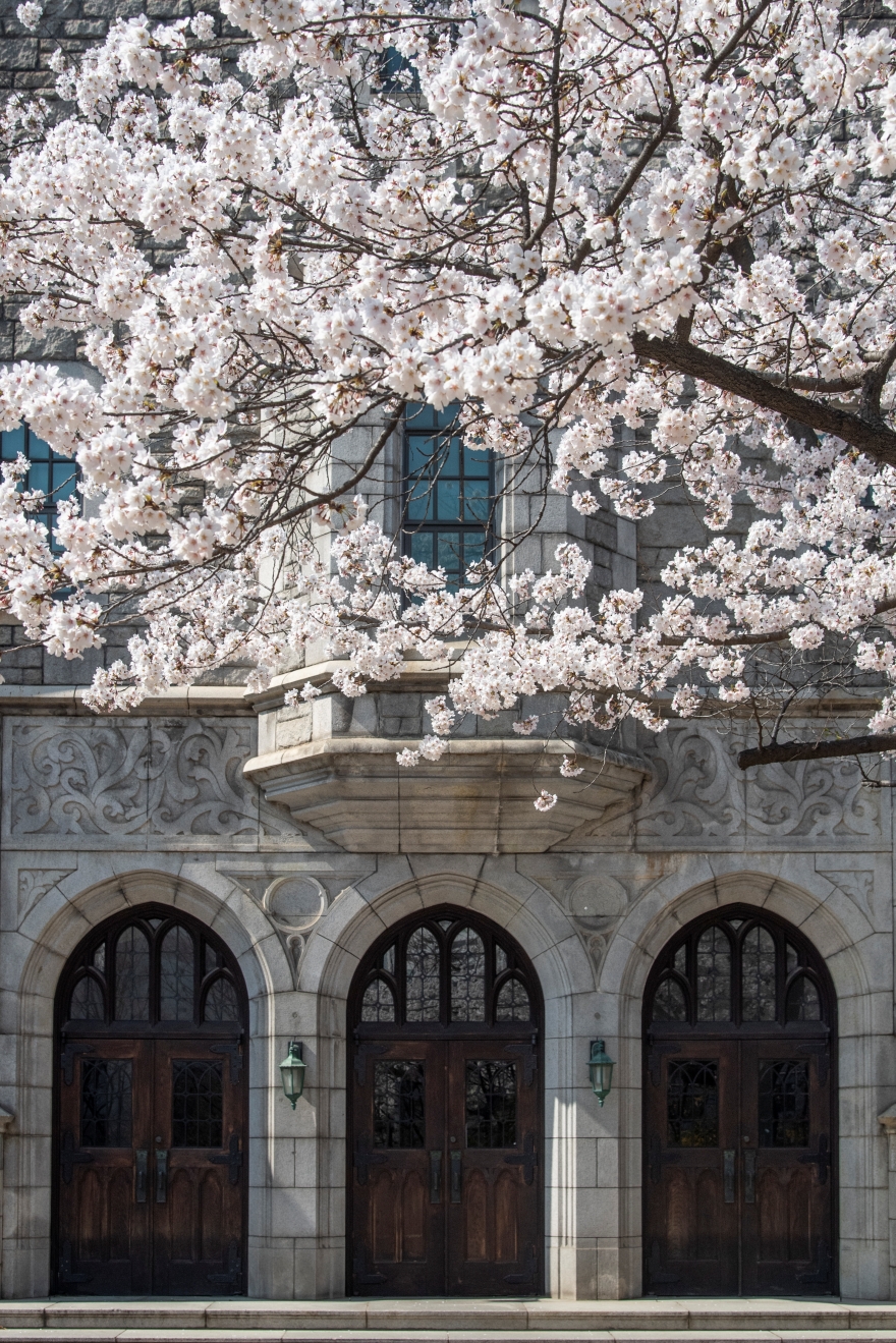 梨花女子大学