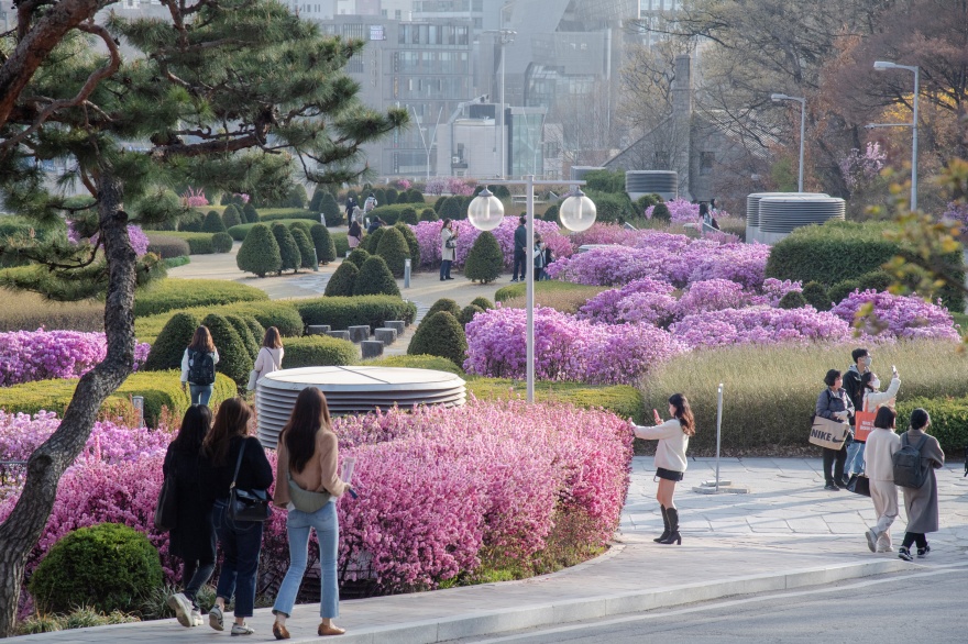 梨花女子大学