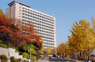 国民大学