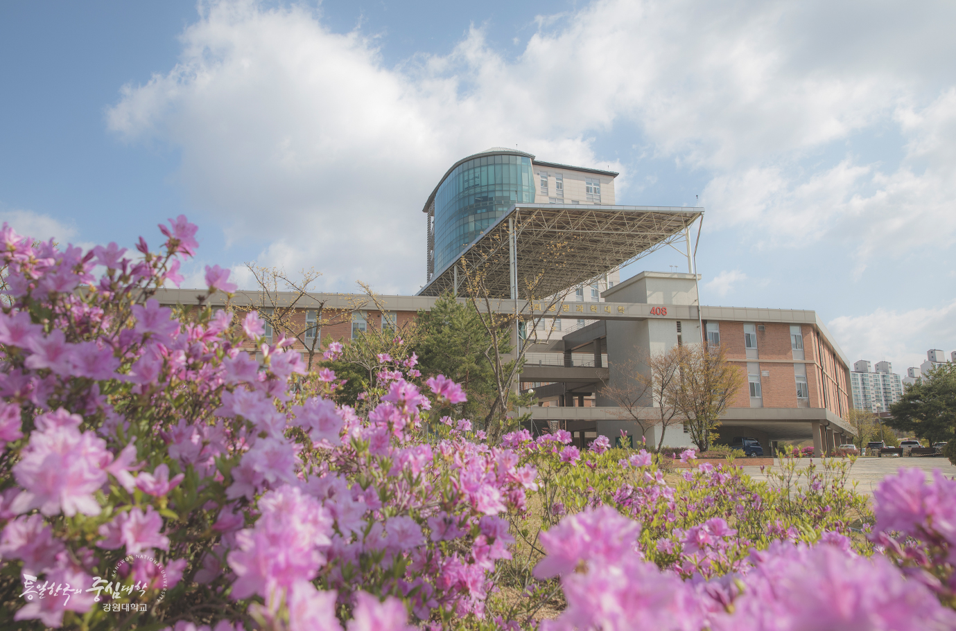 江原大学