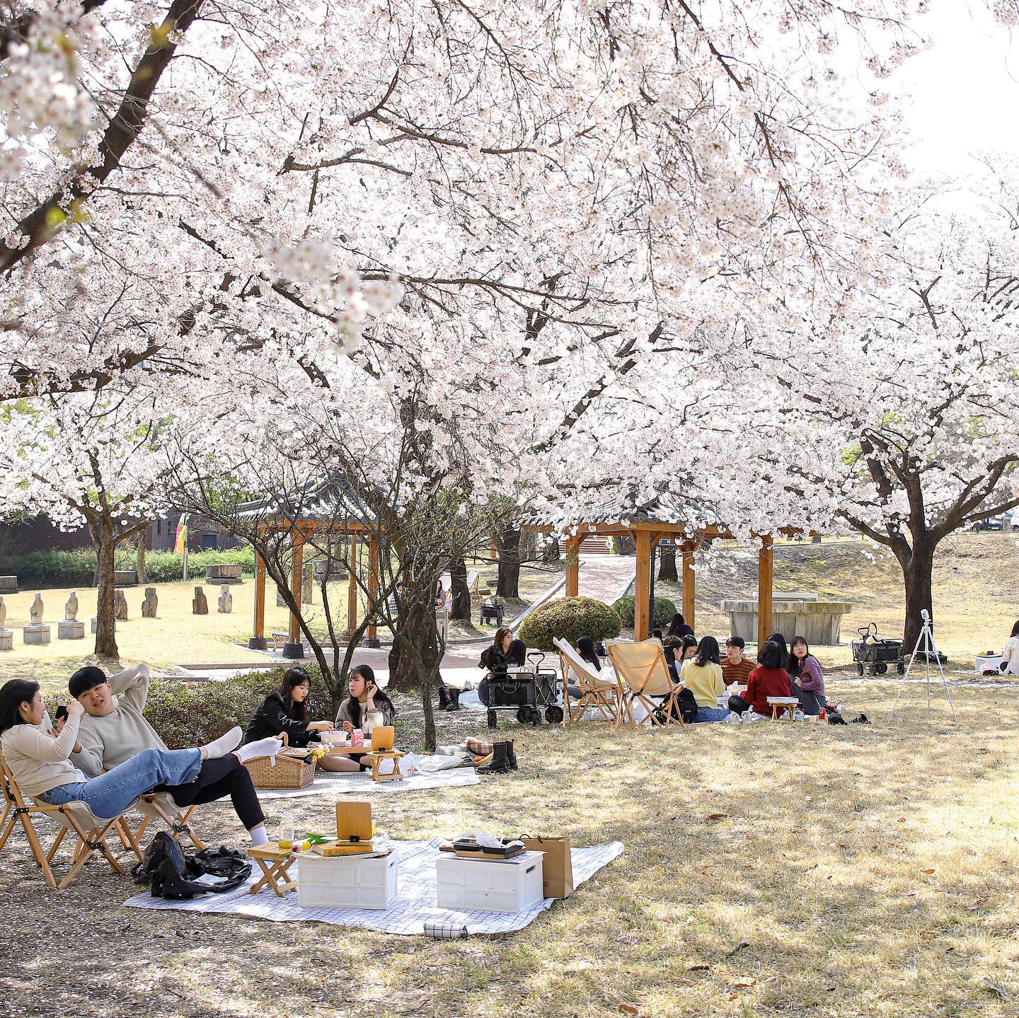 韩国留学1年制中文专升本学校推荐—大邱大学