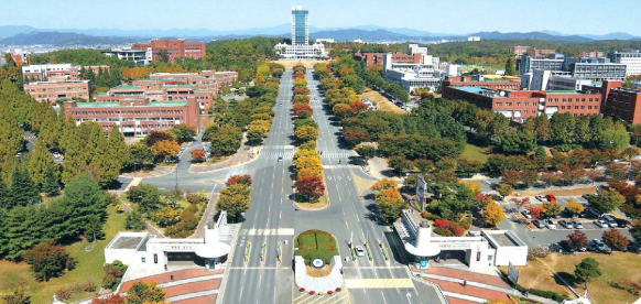 2024年研究生考试失利，如何快速申请韩国留学？