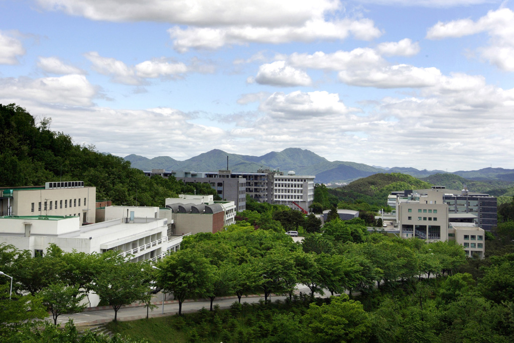 韩国留学明知大学1年制中文授课硕士国际经营专业火热申请中，快来看看吧！