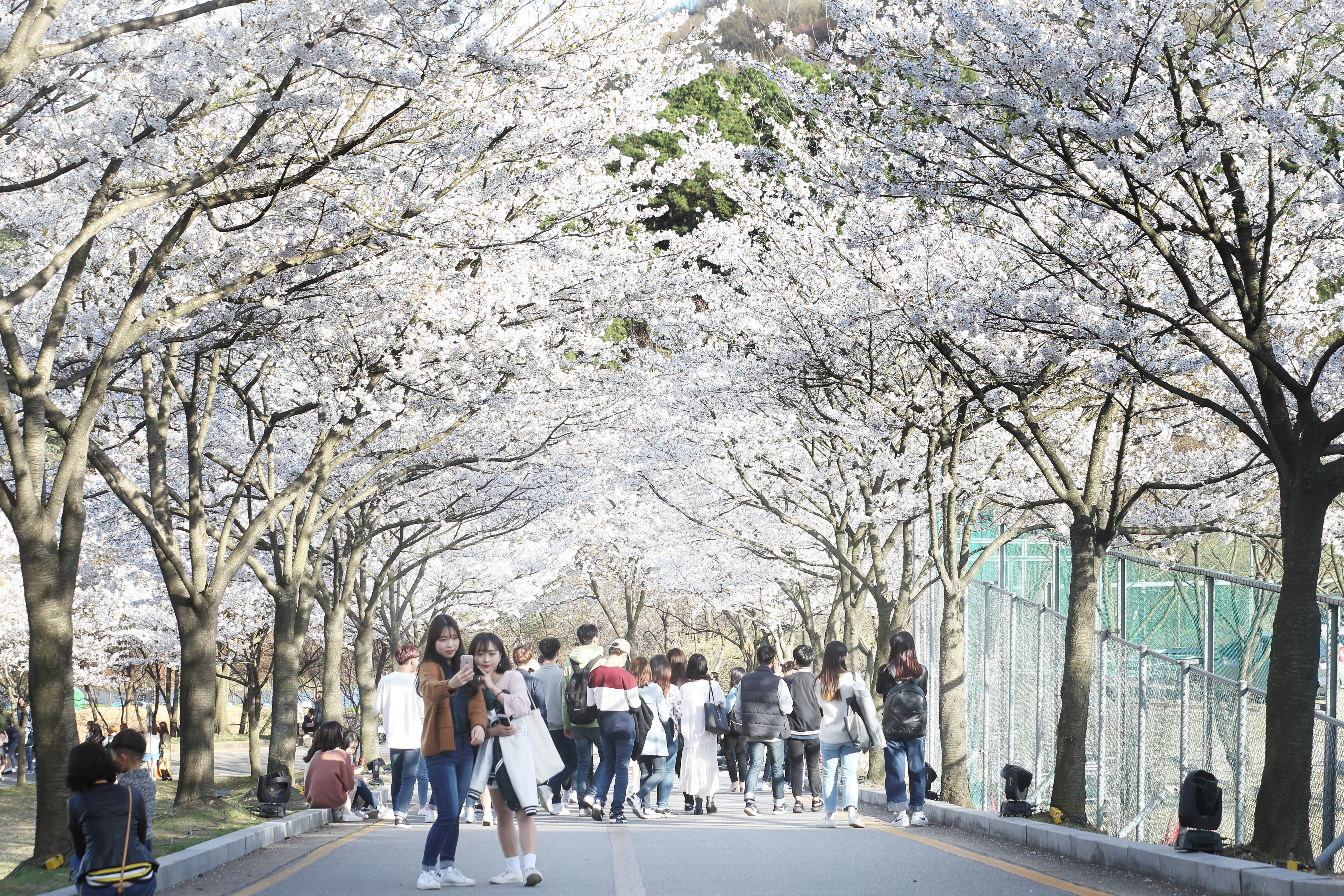 申请韩国留学明知大学1年制中文硕士Global行政学专业，需要满足哪些申请条件？