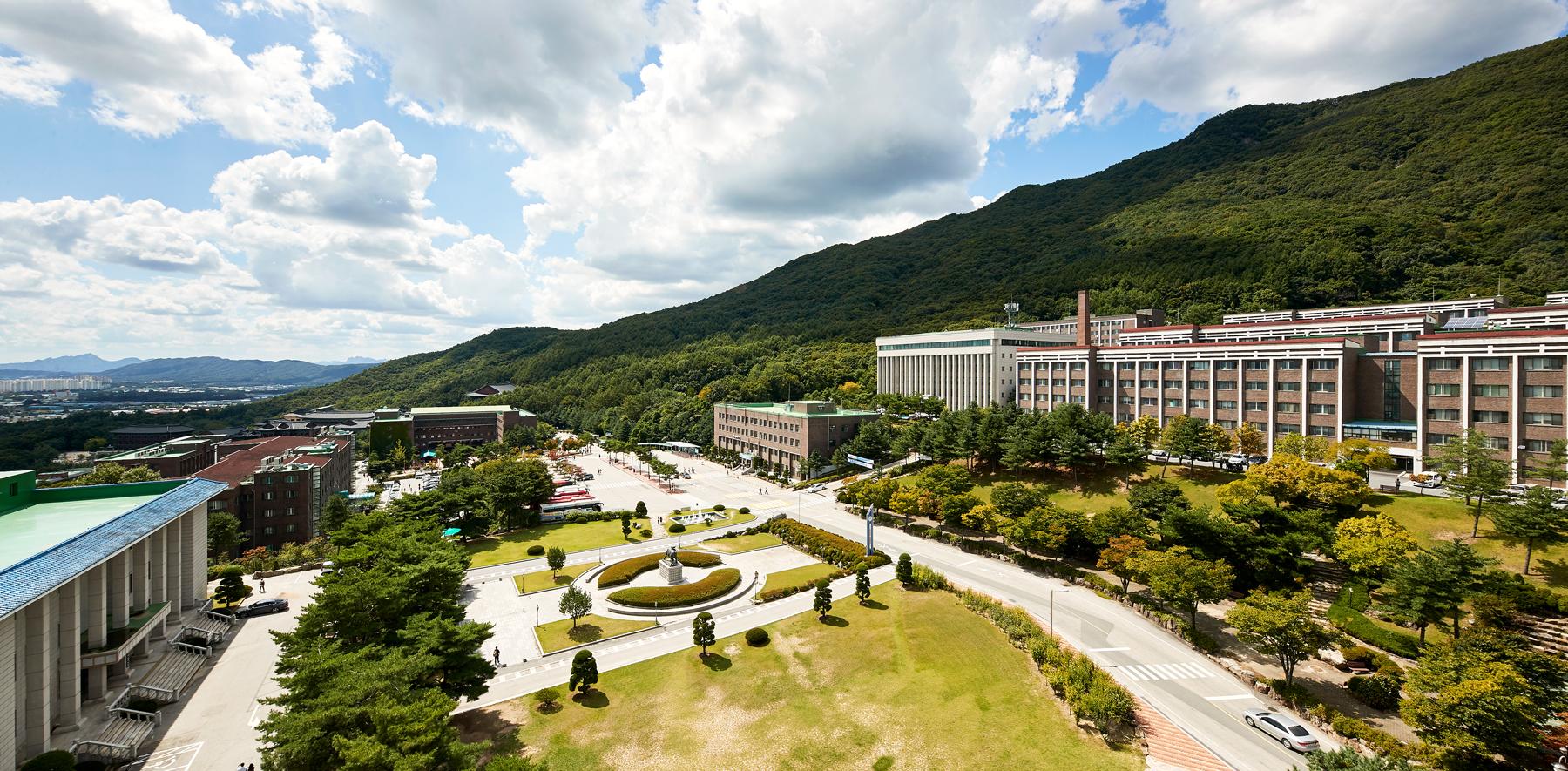 韩国大真大学1年制专升本国际地域-中国学专业火热申请中，只需1年就能毕业！