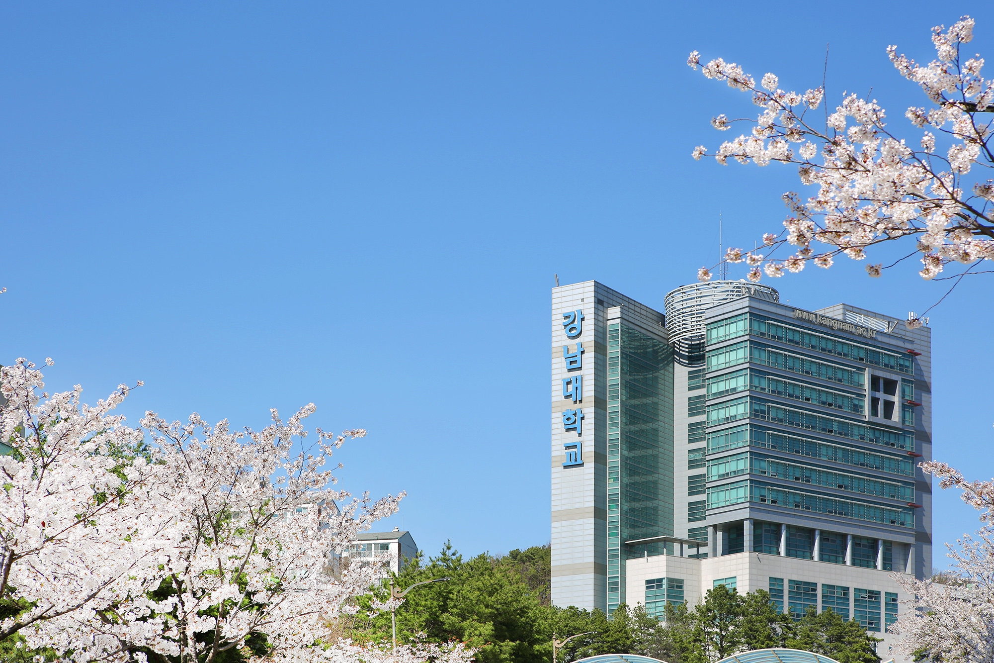 韩国留学一年制专升本有哪些院校可以选择？