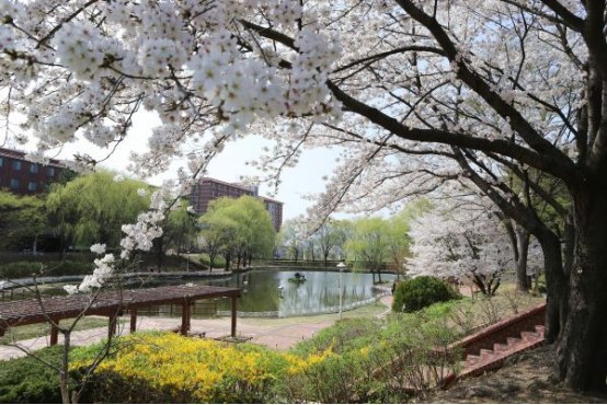 韩国大邱大学韩语授课本科申请时间(图1) image.png